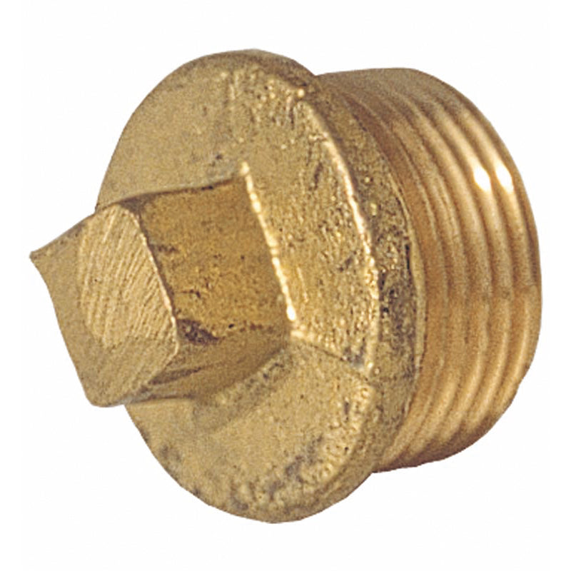 0106015000010.jpg